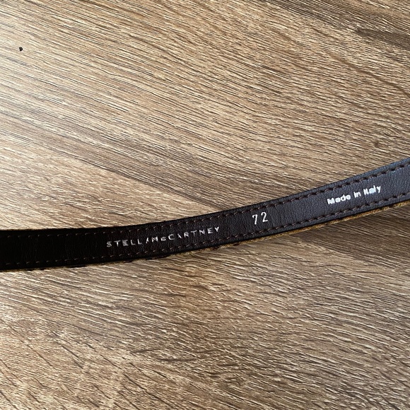 Stella McCartney Skinny Belt main image 5